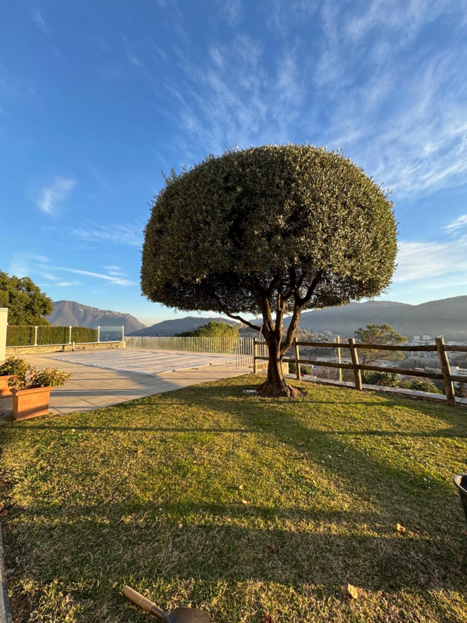 Veralto - Modern Suite With Como Lake View Vacallo Esterno foto